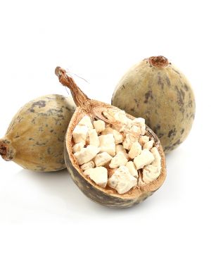 Poudre de Baobab – L’arbre sacré