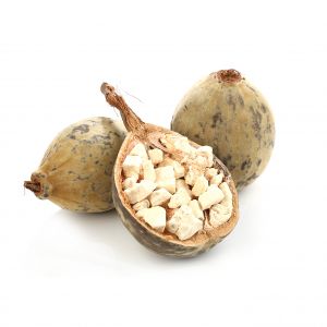 Baobab – L’arbre sacré