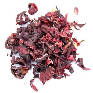 Hibiscus – La fleur de l’énergie