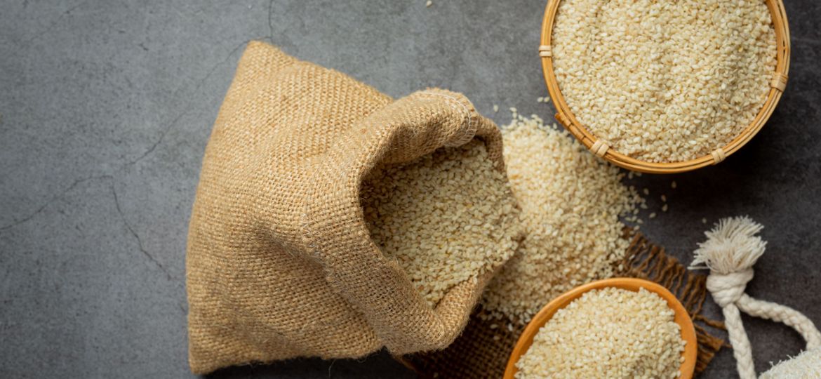 Sesame seeds on dark background